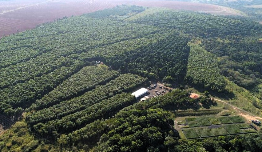 Créditos de Carbono